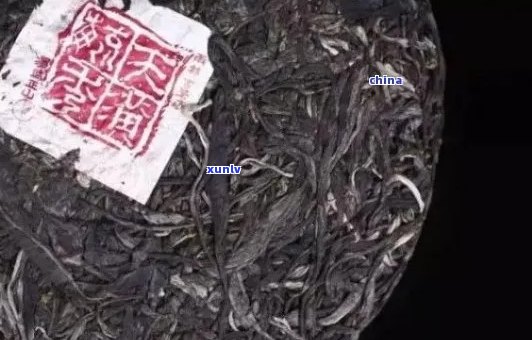 云南普洱茶产地老树茶最新批发价格表及货源信息