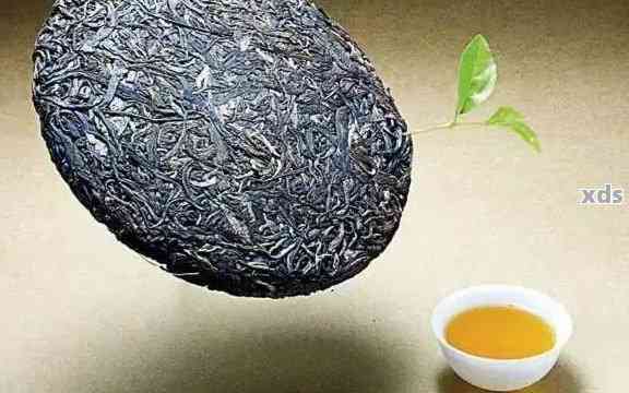 五十年普洱茶的独特魅力：品味演变、品质鉴与收藏建议
