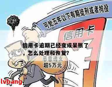 逾期呆账问题全面解析：如何处理、预防与解决方法大揭秘！