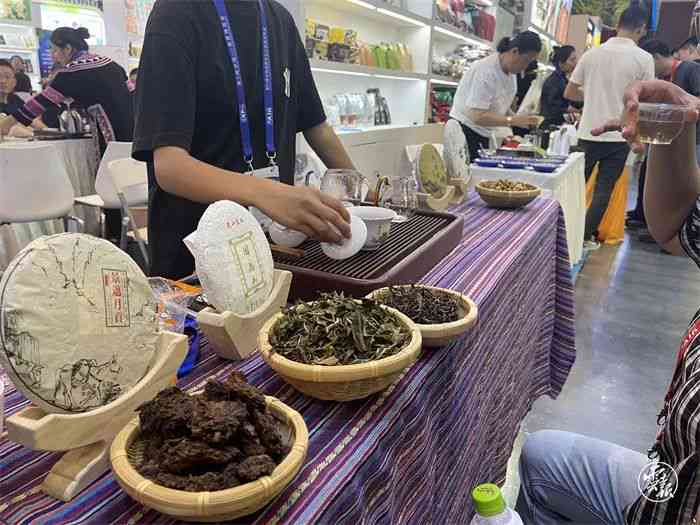 普洱茶文化宴：福今直播带你领略千年古树的魅力