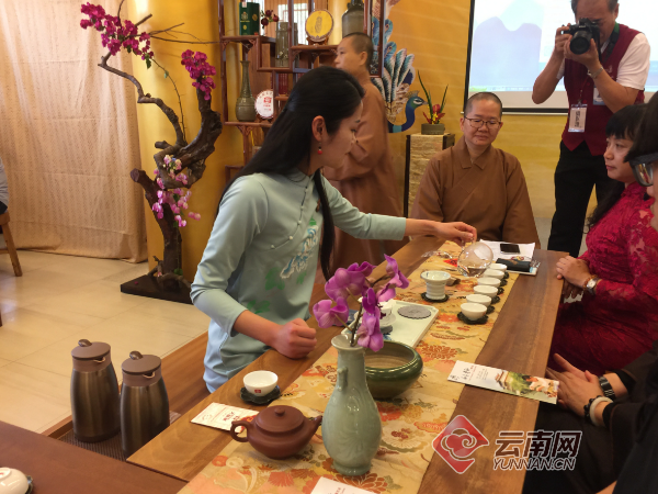 普洱茶文化宴：福今直播带你领略千年古树的魅力
