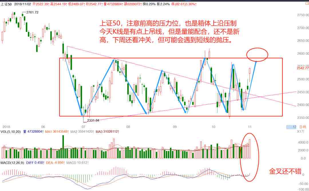 深入探讨风雅普洱茶的品质与价值，了解其价格构成和市场行情