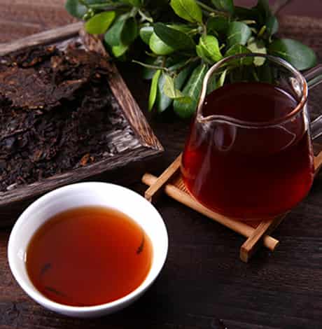 风雅颂普洱茶：品种、制作工艺、品鉴方法及健益处全方位解析