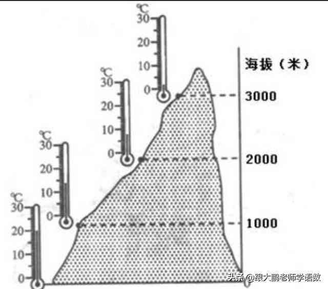 普洱茶种植条件：了解土、气候、海拔等多方面因素以获得更好的产量和品质