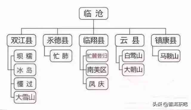 普洱茶种植条件：了解土、气候、海拔等多方面因素以获得更好的产量和品质