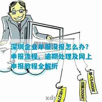 深圳企业年报逾期申报解决办法及流程分析