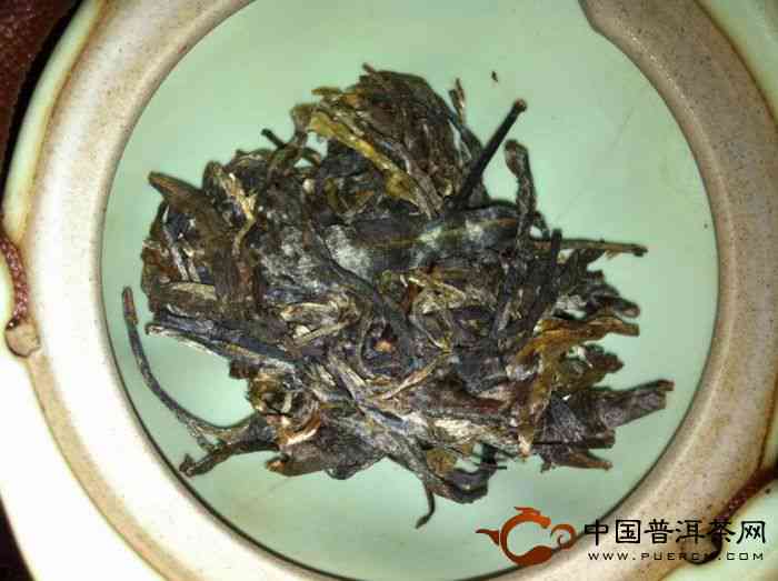 帕沙普洱茶王朝