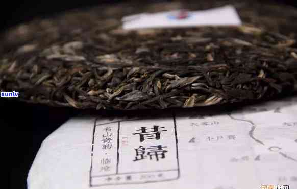 普洱茶昔归：一种茶叶品种及其文化内涵解析