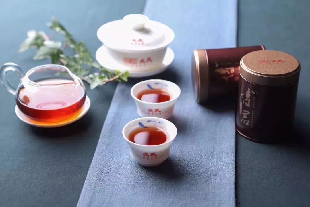 临沧是普洱茶的发源地