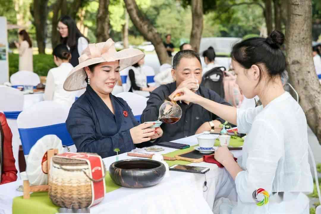 普洱茶雀宴：一款独具匠心的茶叶体验