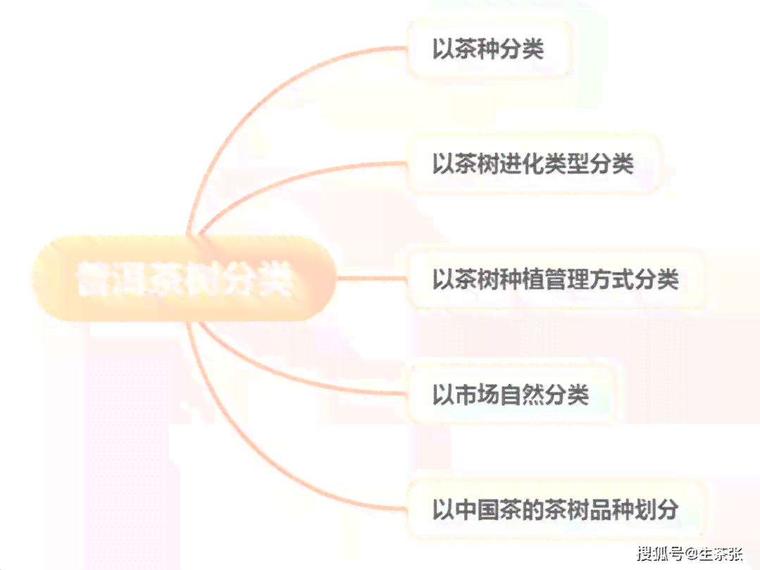 普洱茶分类及功效：7种类型、等级划分与特点解析