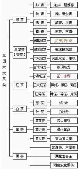 普洱茶分类及功效：7种类型、等级划分与特点解析