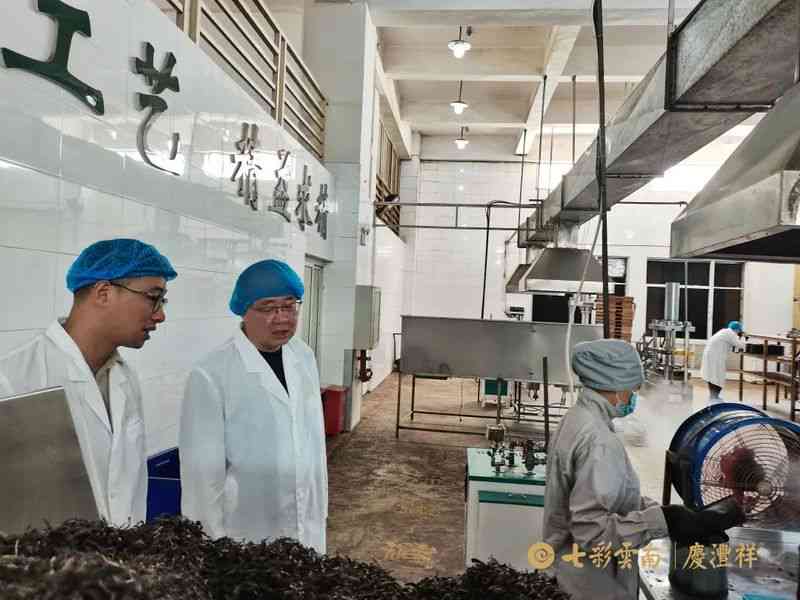 顶云南茶业：一家专注于普洱茶生产的创新型企业