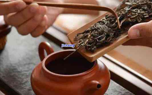 新 深度解析普洱茶的冲泡方式：煮茶还是泡茶？