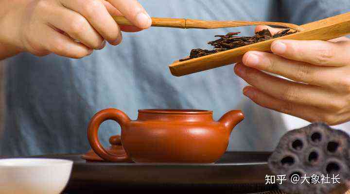 新 深度解析普洱茶的冲泡方式：煮茶还是泡茶？