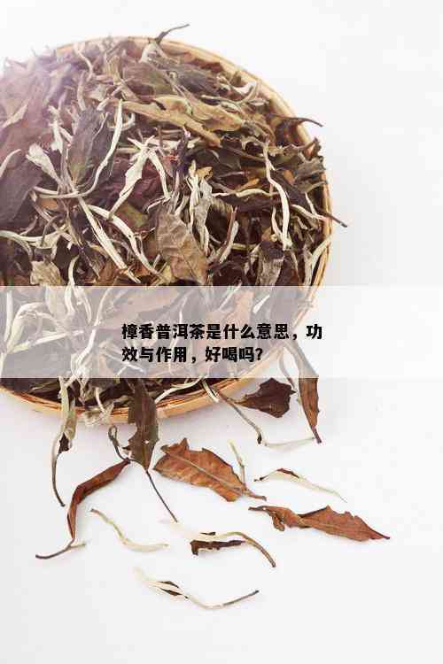 樟香普洱茶功效和作用禁忌及副作用：详细了解樟香普洱茶的全面信息