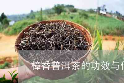 樟香普洱茶：一种具有多重功效的健饮品解析