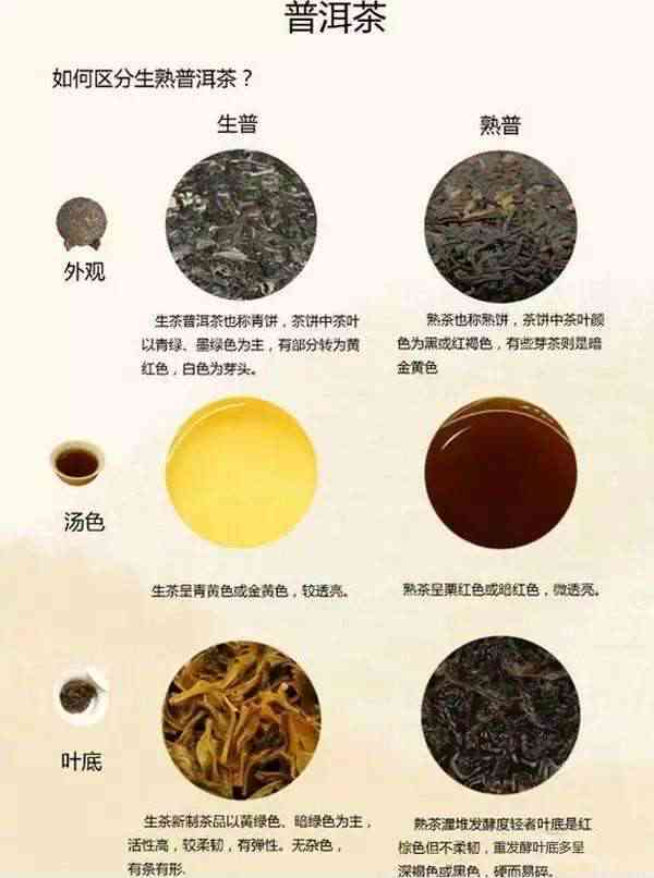 金丝普洱茶：生茶与熟茶的奇妙区别，你了解吗？