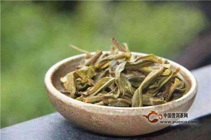 金丝普洱茶：生茶与熟茶的奇妙区别，你了解吗？