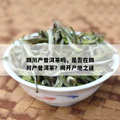 四川是否生产普洱茶？同时提供四川普洱茶的种类、品质、产地等详细信息。