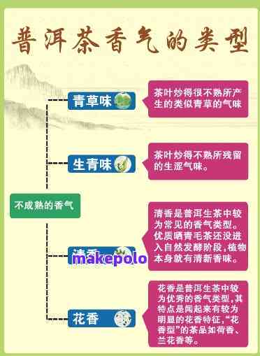 普洱茶香调香水：详细介绍与味道特点，如何选择适合自己口味的香水