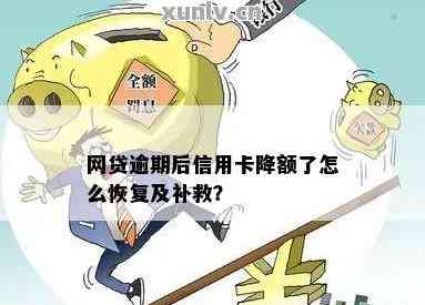 网贷额度用尽怎么办？新解决方案和建议