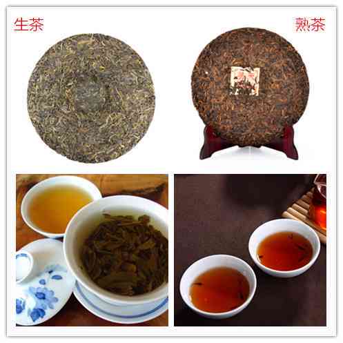 '玲珑古树普洱茶价格表，生茶与熟茶一览'。