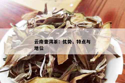 云南普洱茶主要一览：全方位了解优质普洱茶，助您挑选适合的茶叶