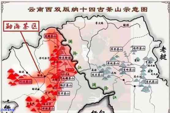 云南古树普洱茶的产地与价格分析：阿里、京东、临沧等地批发货源