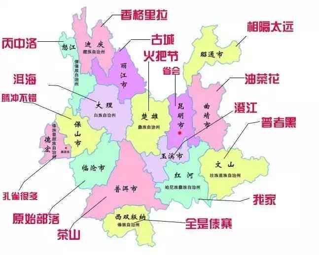 云南古树普洱茶的产地与价格分析：阿里、京东、临沧等地批发货源