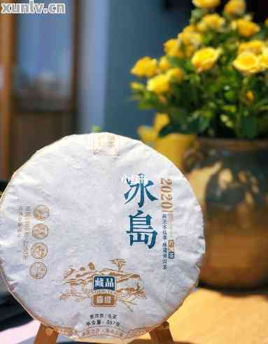 冰岛普洱茶：独特风味、健益处与品饮技巧全方位解析