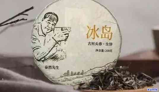 冰岛口味普洱茶：一款独特的冰岛风味茶叶，带你领略北极圈内的茶文化魅力