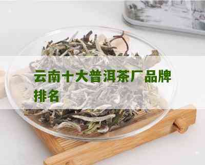 云南普洱茶排行榜：勐海茶厂与大益茶业谁更受欢迎？