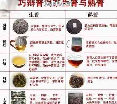 全面对比：普洱茶各大特色及价格分析，助您轻松选购高品质普洱茶