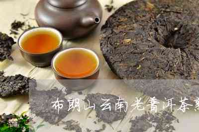 云南布朗山普洱茶好吗