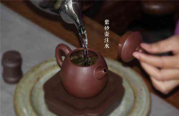 熟普洱茶怎么选紫砂壶