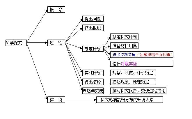 云南猛犸象：历、分布、保护与研究的全面解析