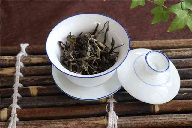 探索麻黑普洱茶的产地：易武与茶区的神秘关联