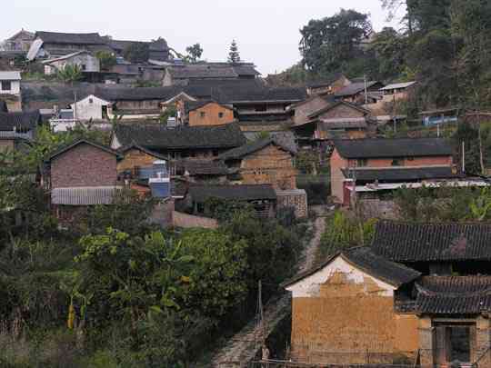 探索麻黑普洱茶的产地：易武与茶区的神秘关联