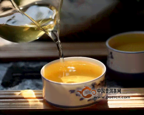 普洱茶全面排名：了解各特色与市场口碑，挑选最适合你的普洱茶