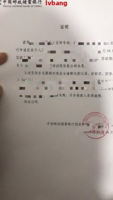 公司非恶意逾期证明怎么开-模板与金融公司相关信息