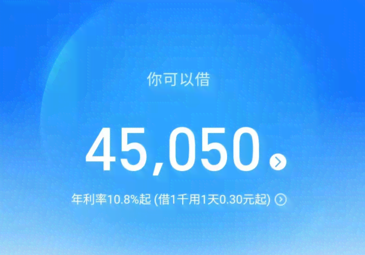 网商贷还款40