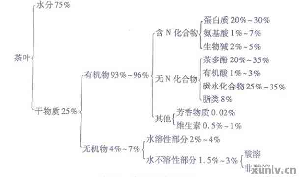 普洱茶的营养元素表：主要功效与成分解析