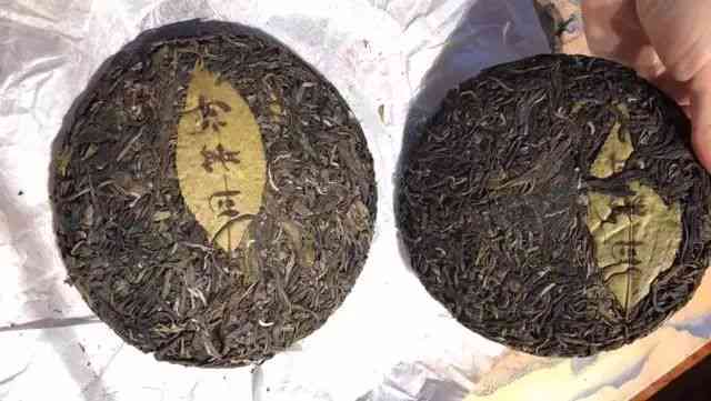 云南普洱茶与广东仓普洱茶的仓差异及其对茶叶品质的影响