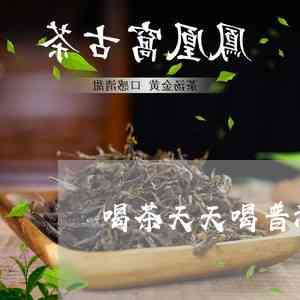 天天都想喝普洱茶