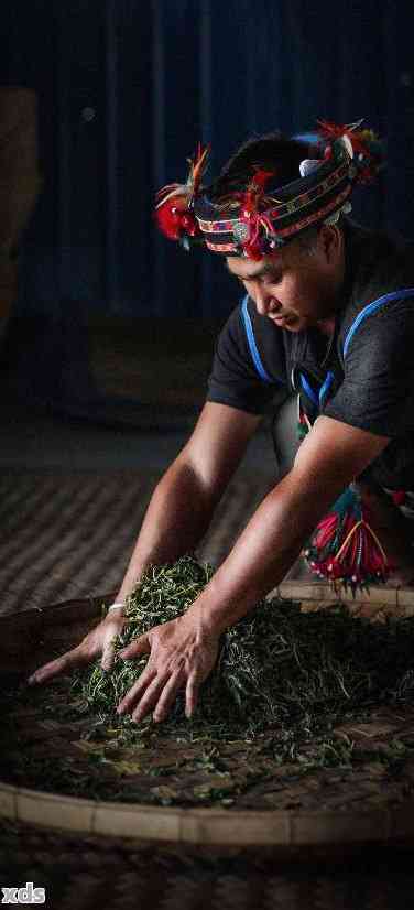 86年傣族传统制茶工艺：云南普洱茶的魅力与传承