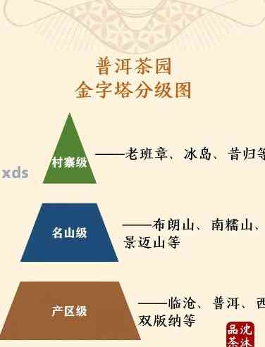 全面指南：顶级纯料普洱茶对比与推荐，让你轻松找到最合适的茶品