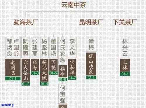 普洱茶大厂啥意思