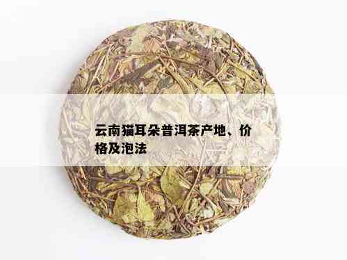 猫耳朵普洱茶属于哪个片区：云南古树普洱茶区