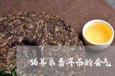 猫耳朵普洱茶味道